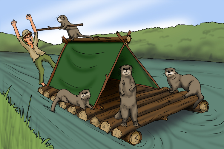 After hijacking his raft, the otters took it miles downriver to where they planned to make their new home.